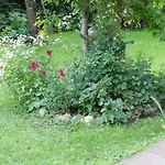 Appartementhaus Dargham 3* Strobl