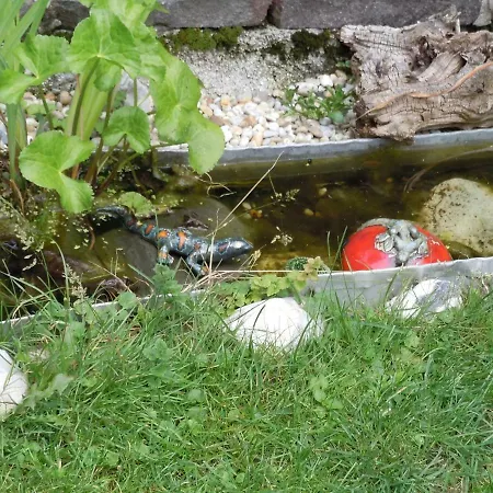 Appartementhaus Dargham Guest house Strobl