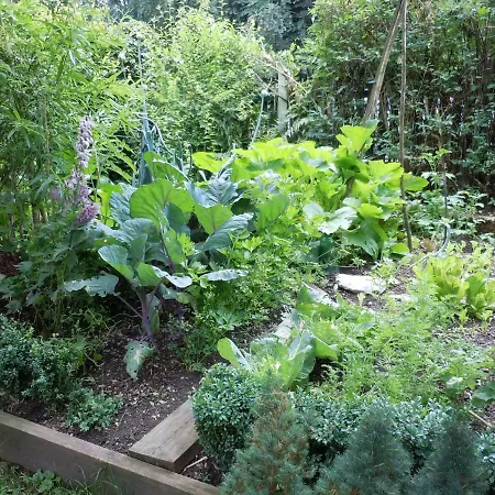 Guest house Appartementhaus Dargham