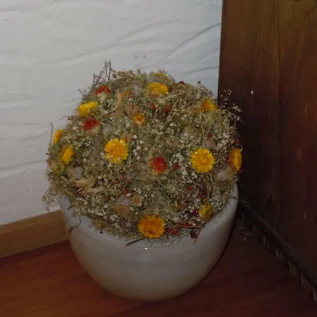 Appartementhaus Dargham 3*