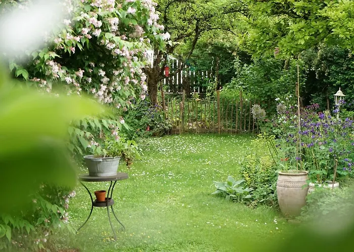 Appartementhaus Dargham Guest house 3*