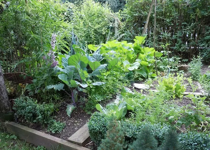 Guest house Appartementhaus Dargham