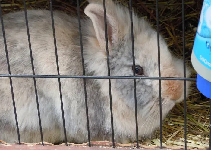 Appartementhaus Dargham Guest house Strobl